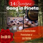 GONG IN PINETA